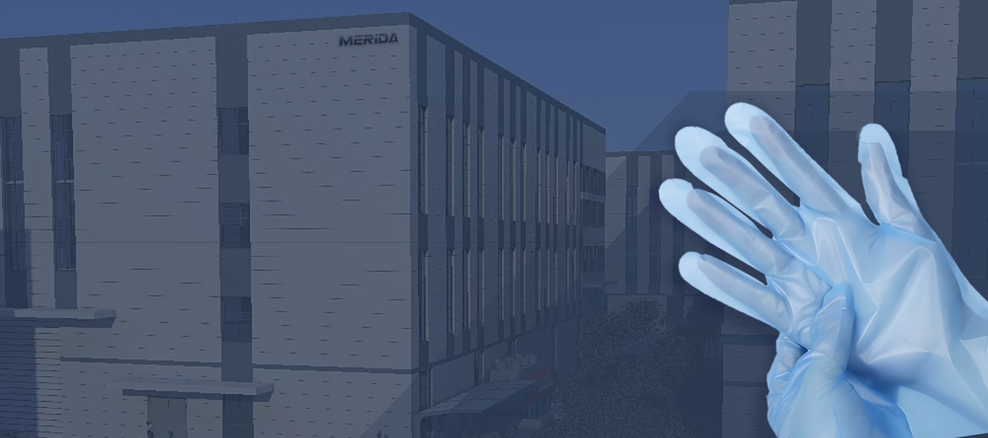 Beschermende handschoenen